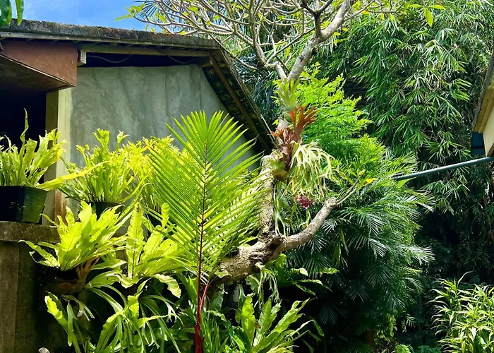 Gusti Putu Oka 2* Ubud (Bali)