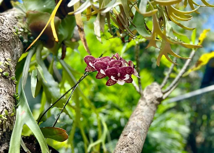 Gusti Putu Oka 2* Ubud (Bali)